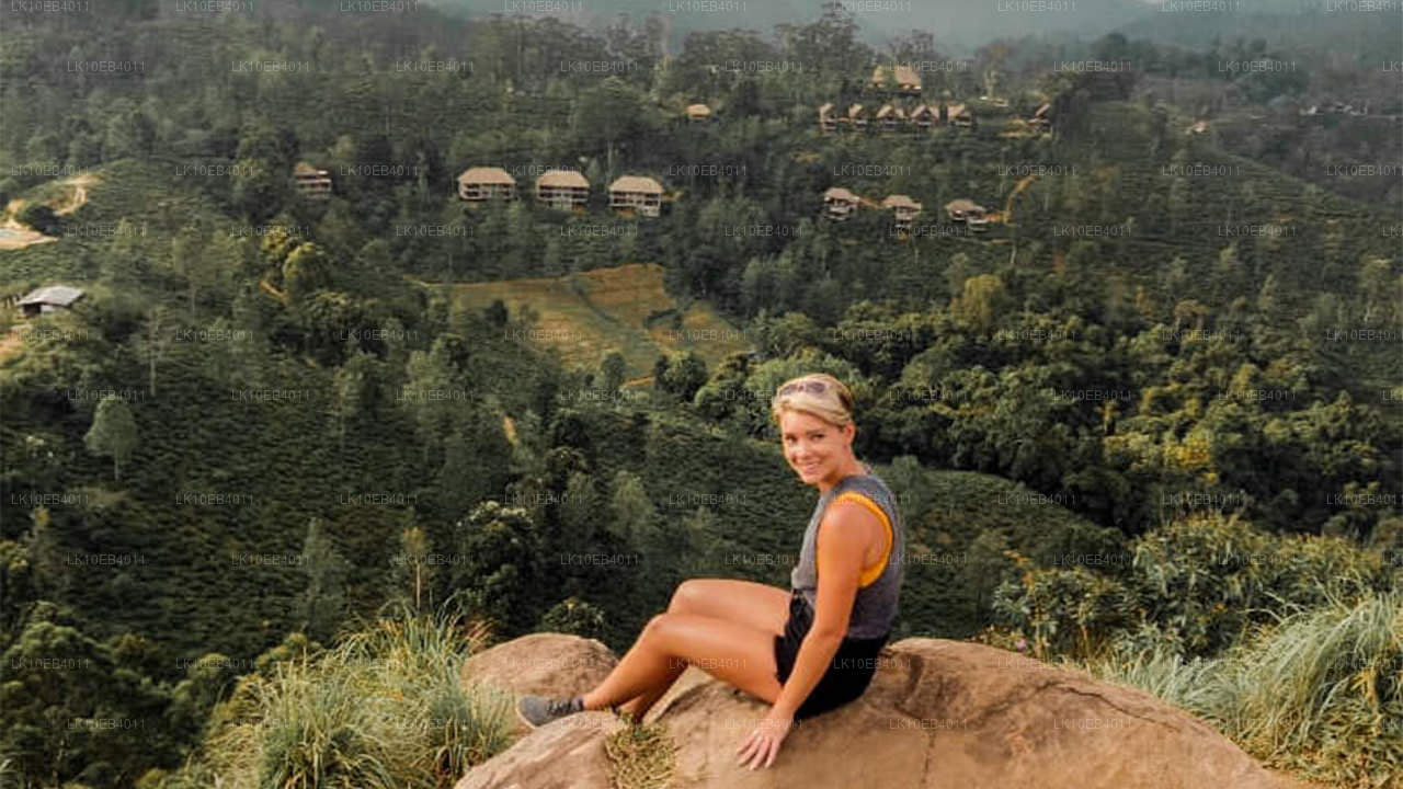 Erfgoed en strand (14 dagen)