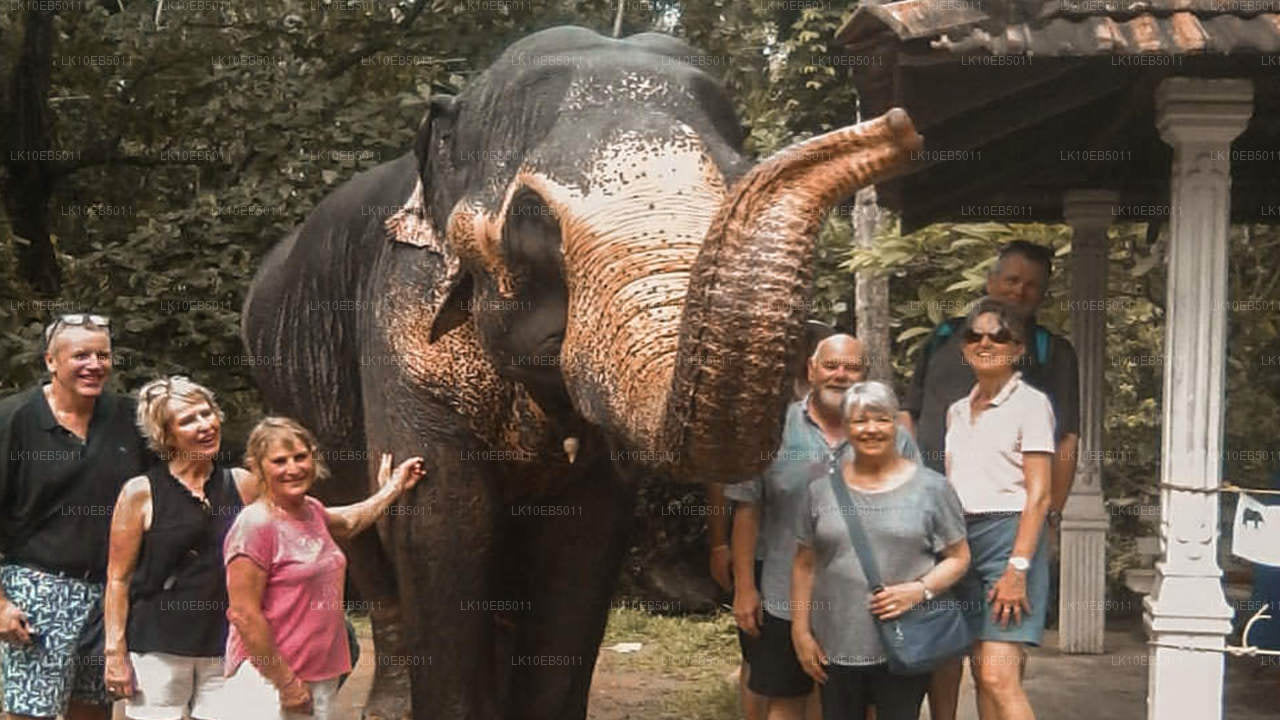 Sensation of the World (14 dagen)