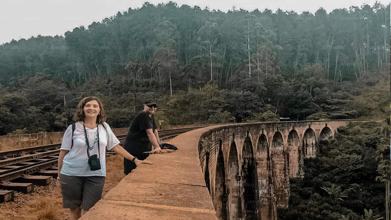 Sensation of the World (14 dagen)