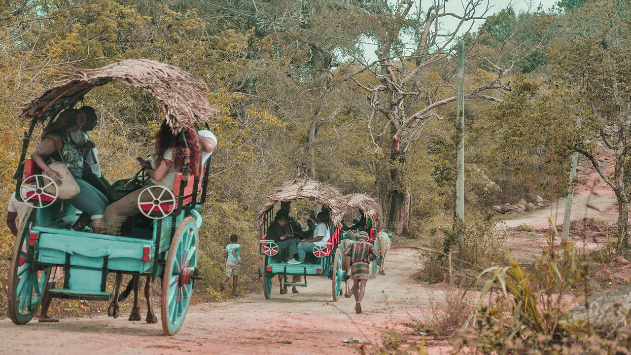 Sensation of the World (14 dagen)