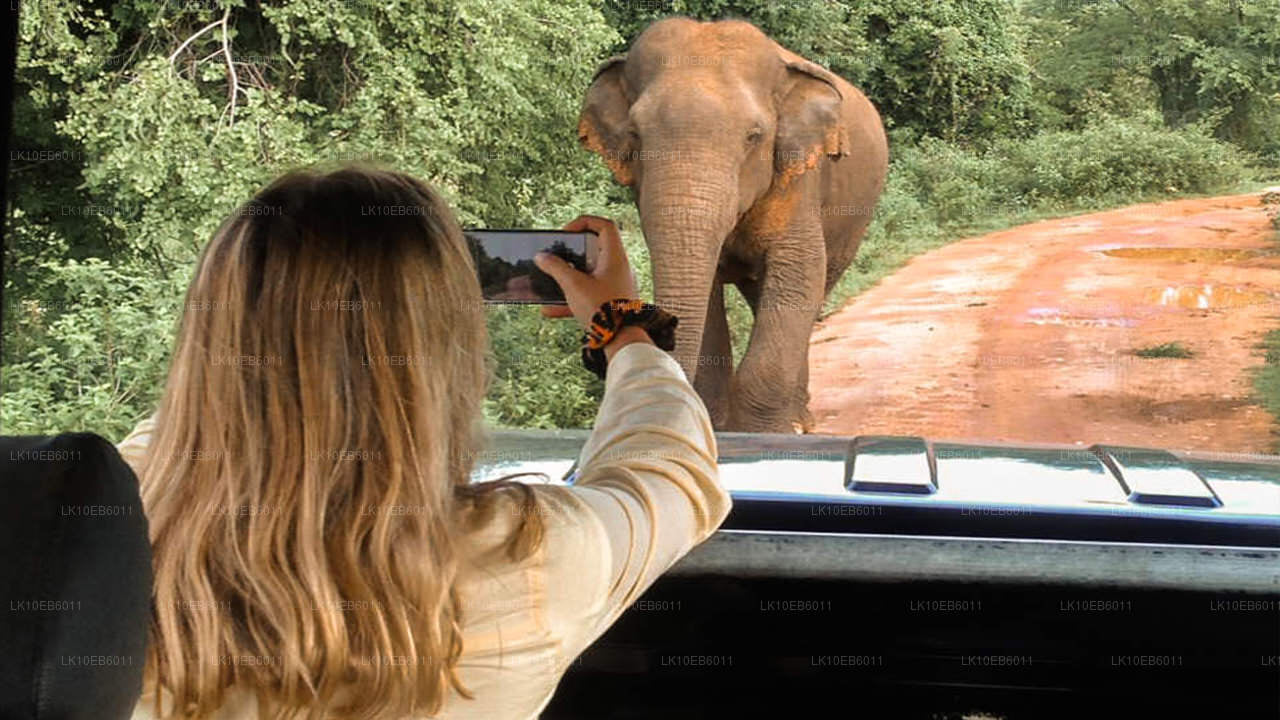 Geestelijke vrijheid (14 dagen)