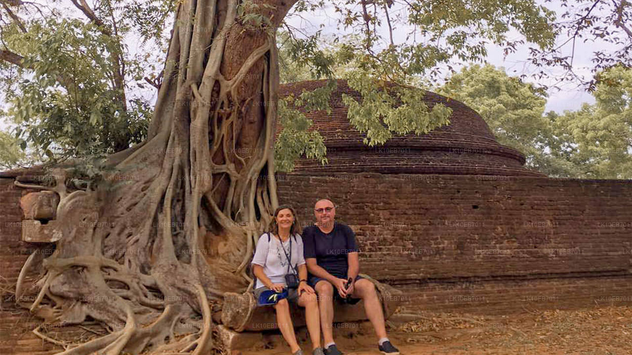Oude koninkrijken en het beste van het oosten (14 dagen)