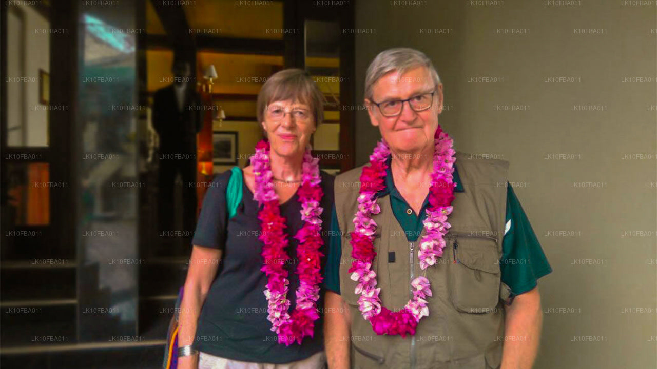 Serendipity Trail (15 dagen)