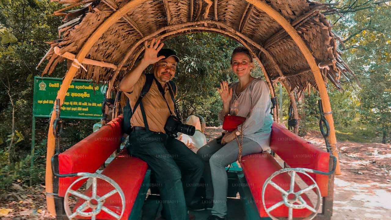 Serendipity Trail (15 dagen)