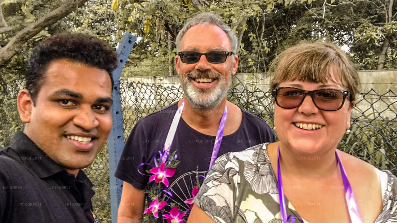 Het mooiste van Ceylon (16 dagen)