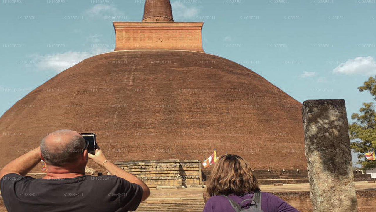 Het mooiste van Ceylon (16 dagen)