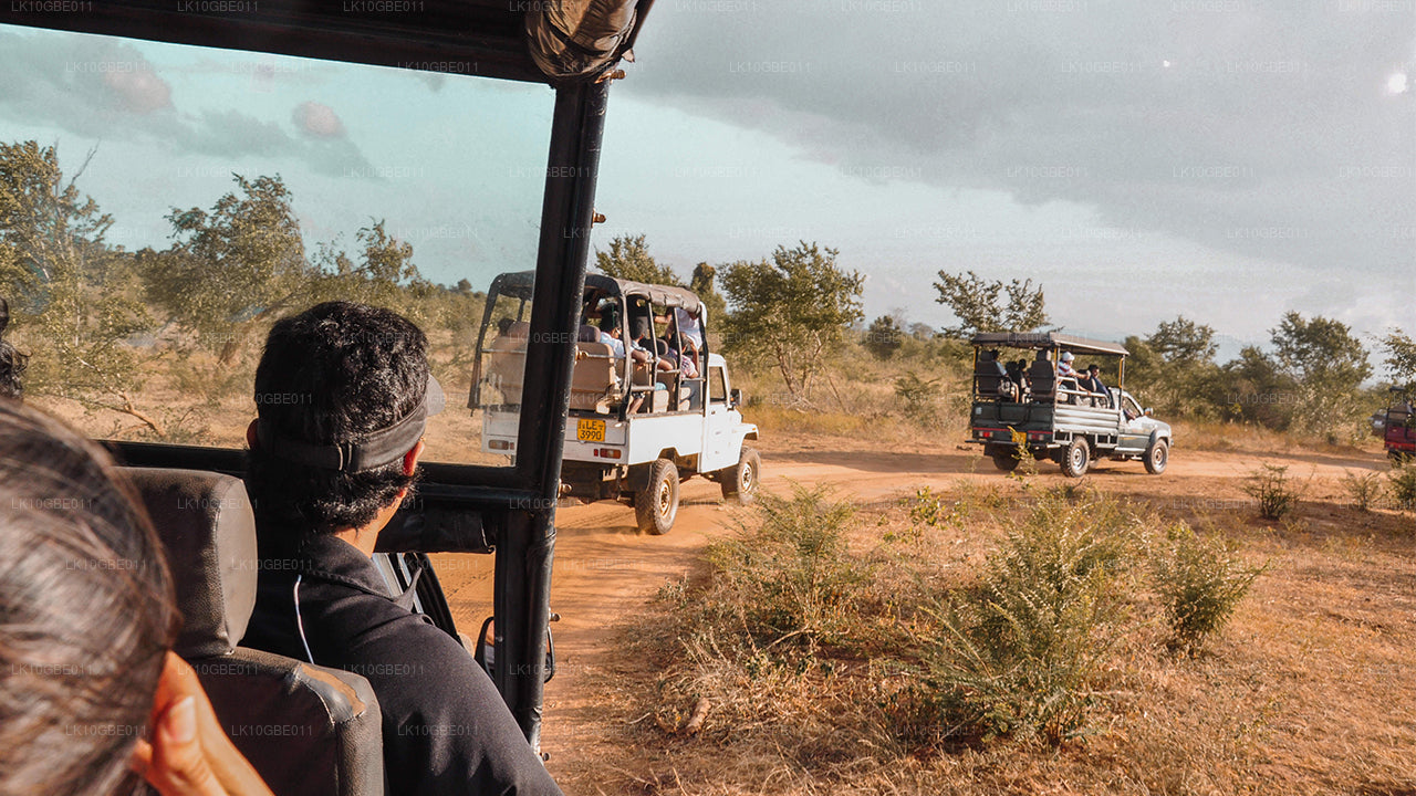 Het mooiste van Ceylon (16 dagen)