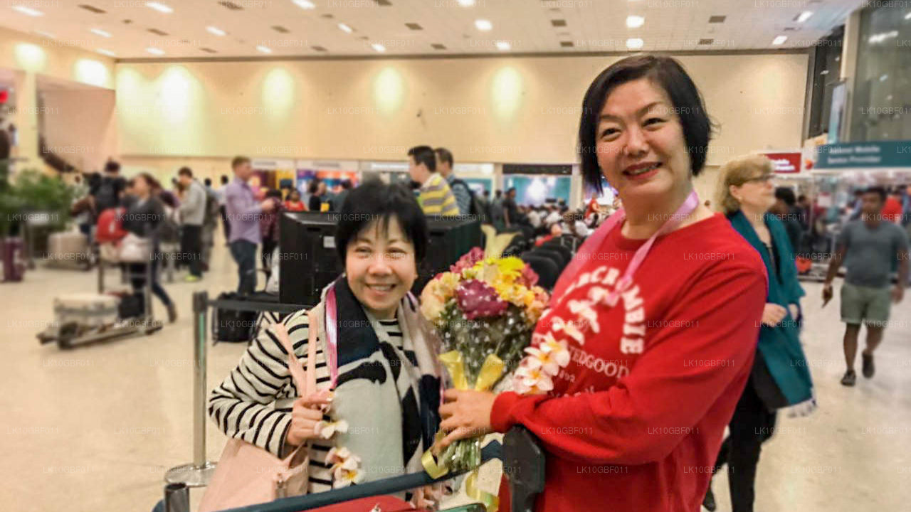 Serendib ontdekken (16 dagen)