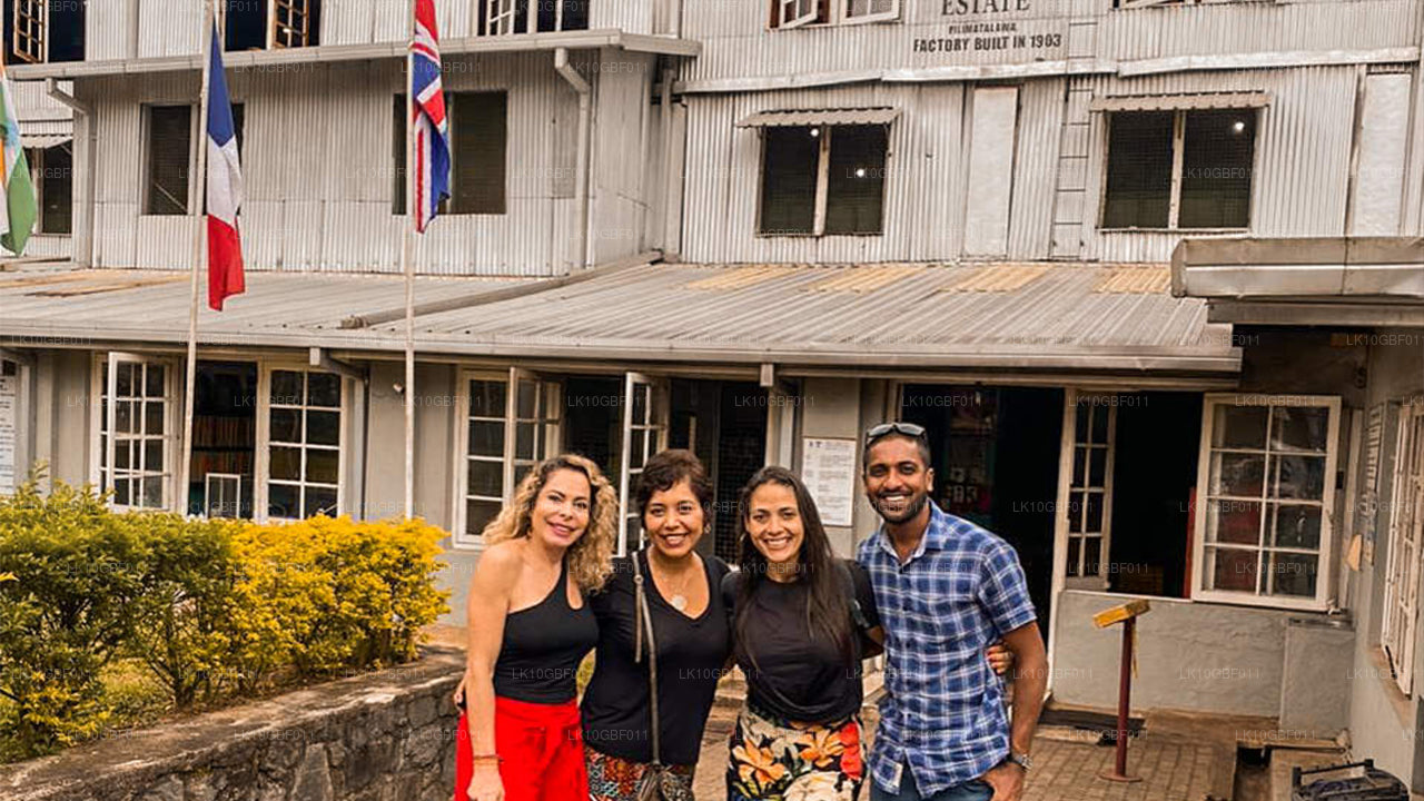 Serendib ontdekken (16 dagen)