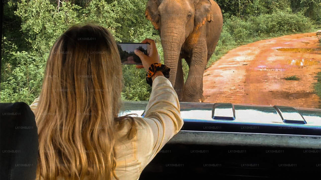 Ultiem Sri Lanka (17 dagen)