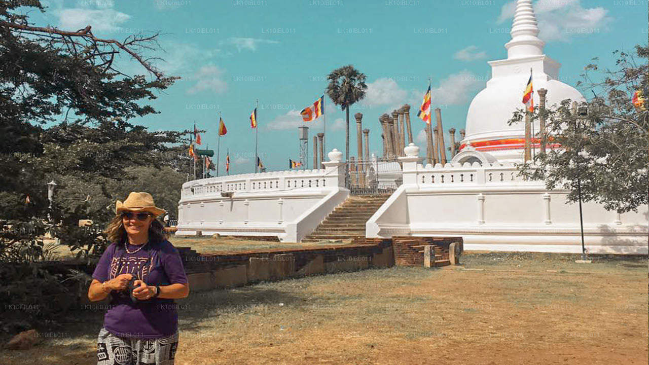 Adventurous Spirit (18 dagen)