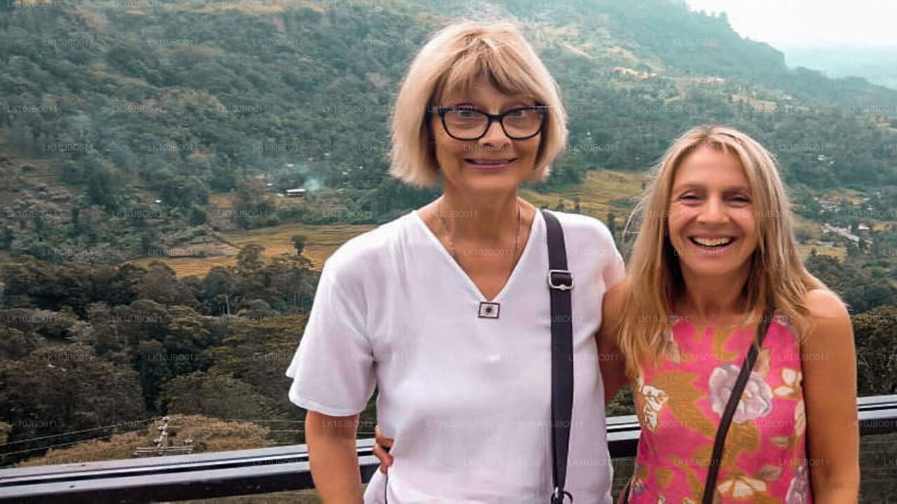 De geheime ontsnappingen (19 dagen)