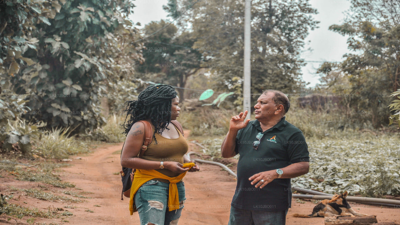 De geheime ontsnappingen (19 dagen)