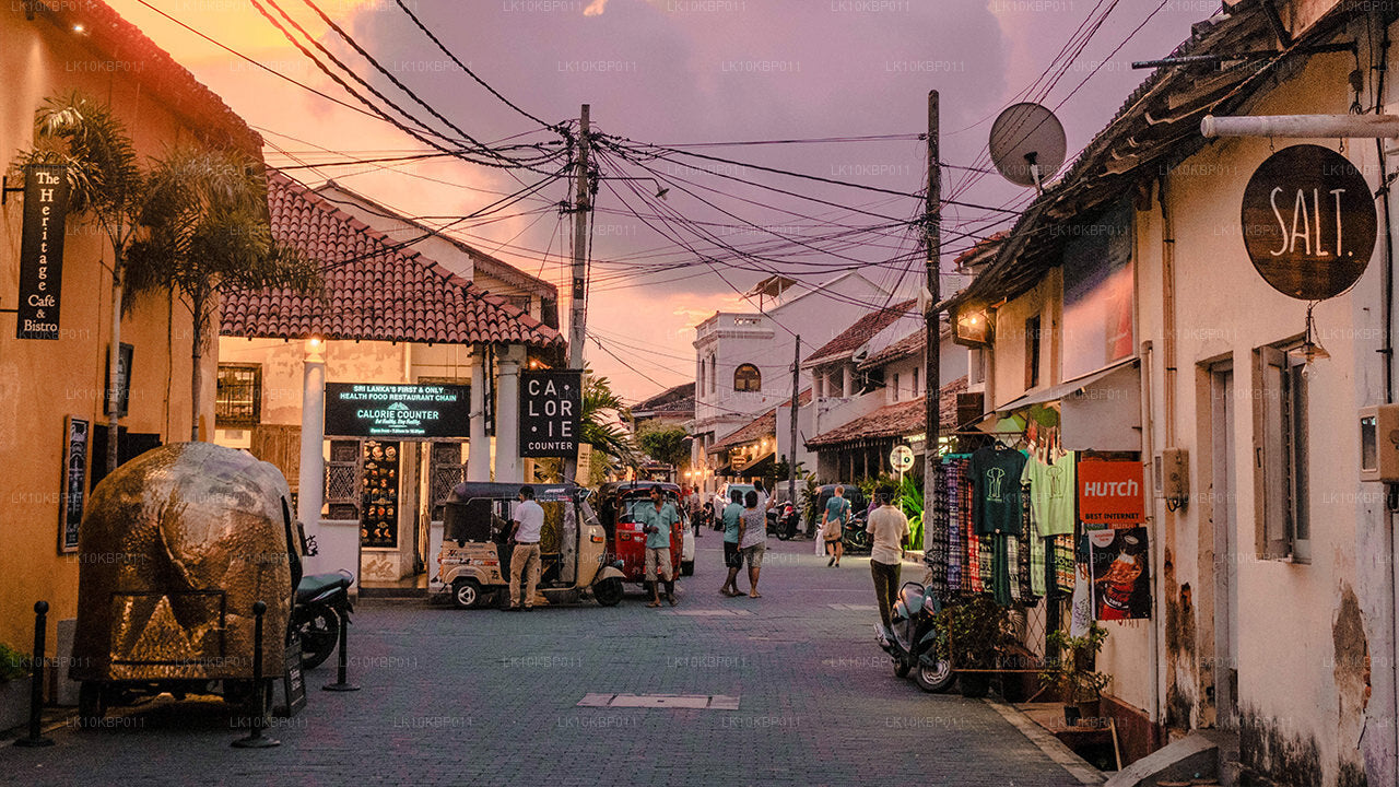 Dive On Excitement (20 dagen)