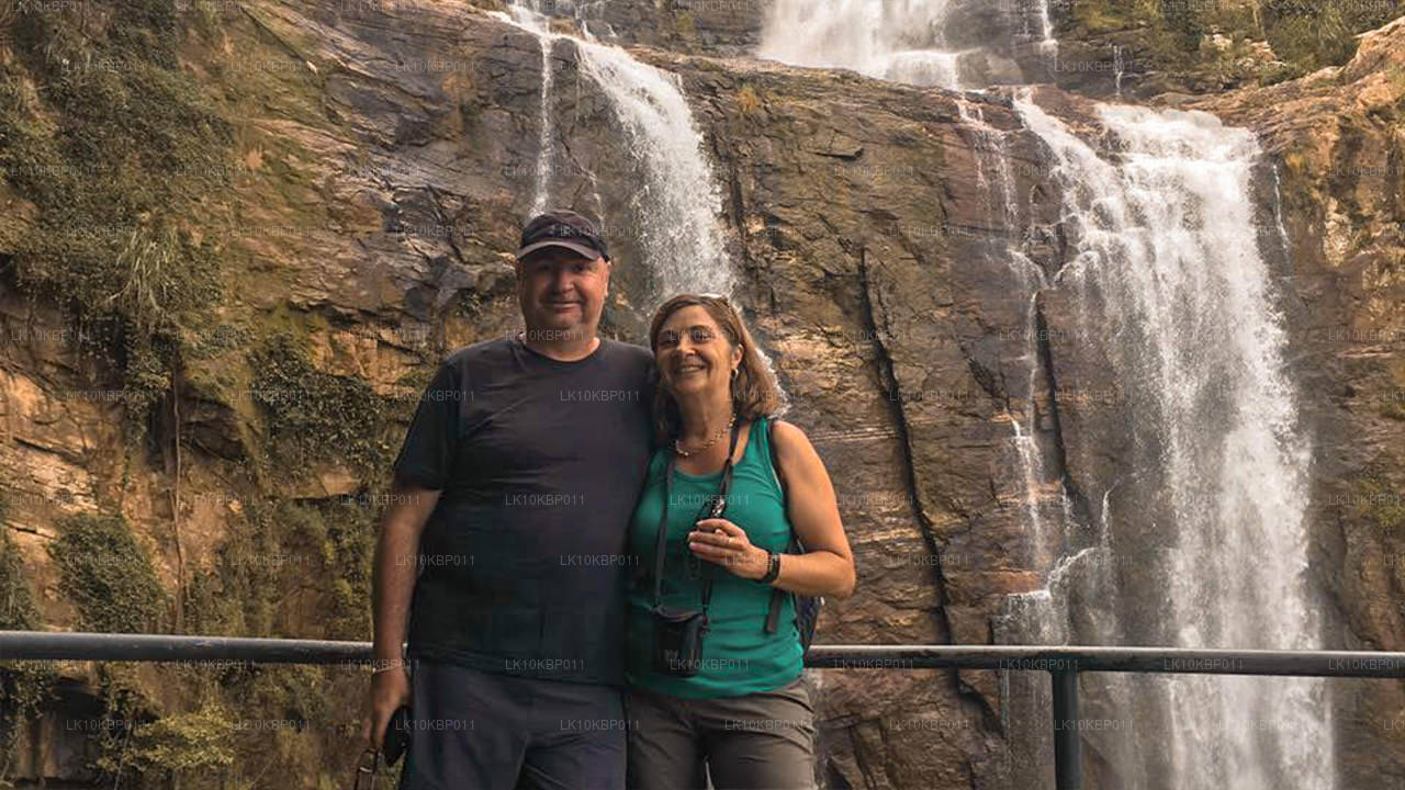 Dive On Excitement (20 dagen)