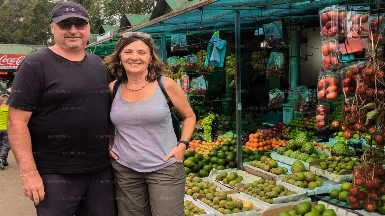 Dive On Excitement (20 dagen)