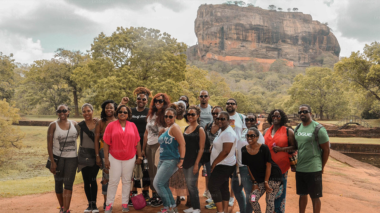 Dive On Excitement (20 dagen)