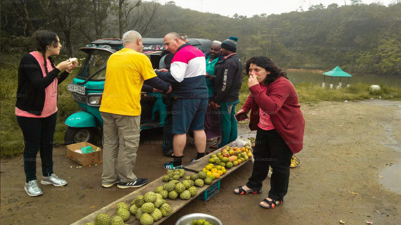 Klassiek Sri Lanka (20 dagen)