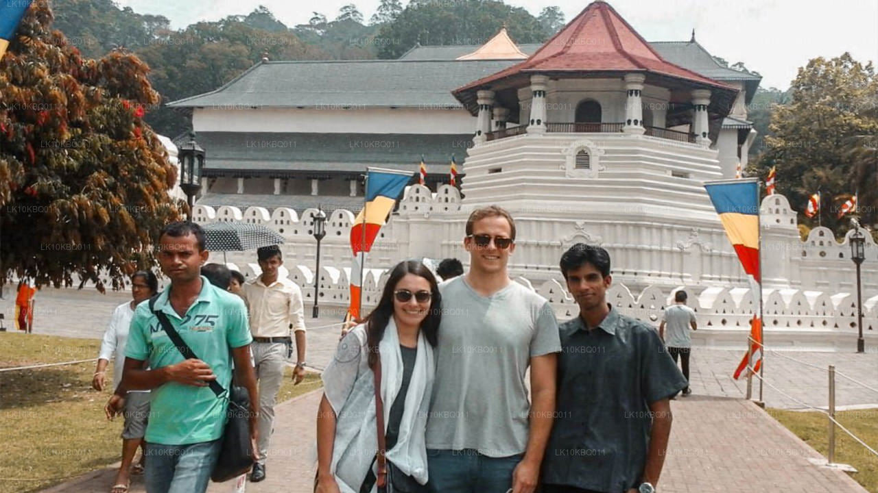 Klassiek Sri Lanka (20 dagen)