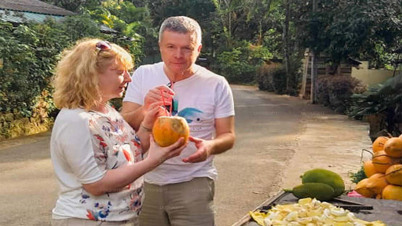 Klassiek Sri Lanka (20 dagen)