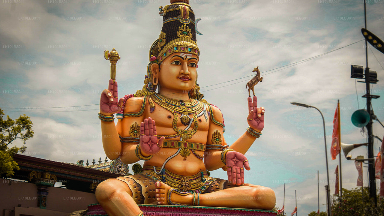 East Explorer (21 dagen)