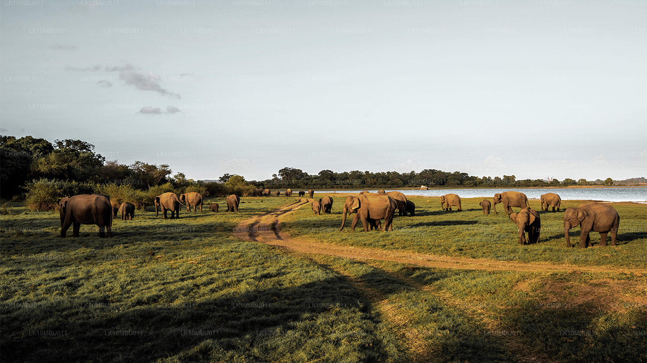 De glamour van Sri Lanka (22 dagen)