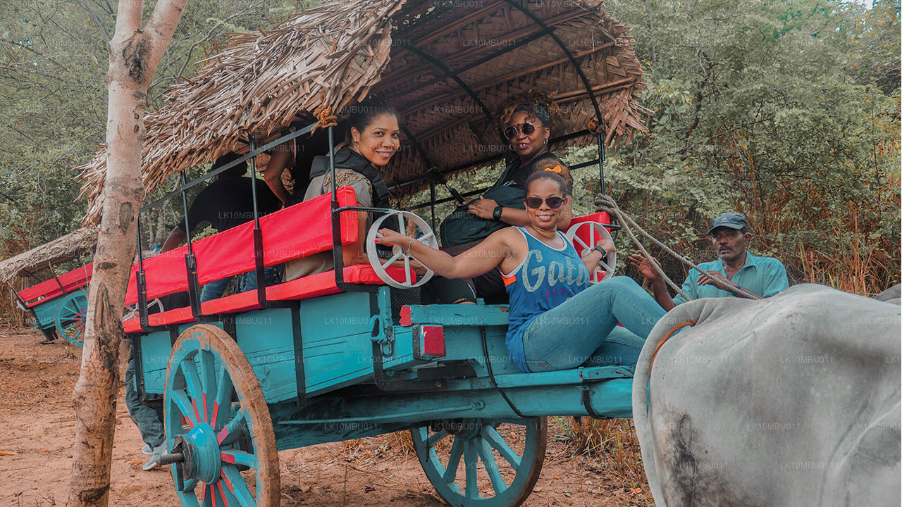 De glamour van Sri Lanka (22 dagen)