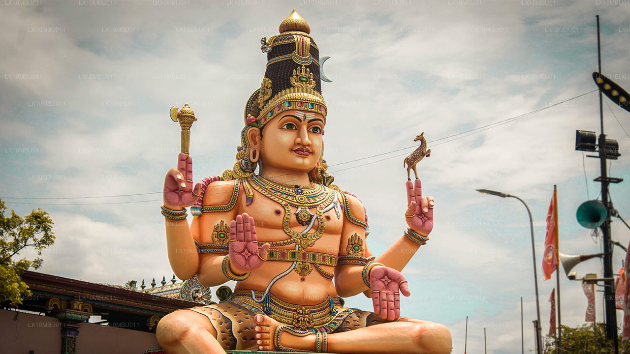 De glamour van Sri Lanka (22 dagen)