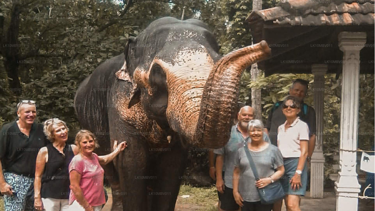 Tempels en natuur (22 dagen)