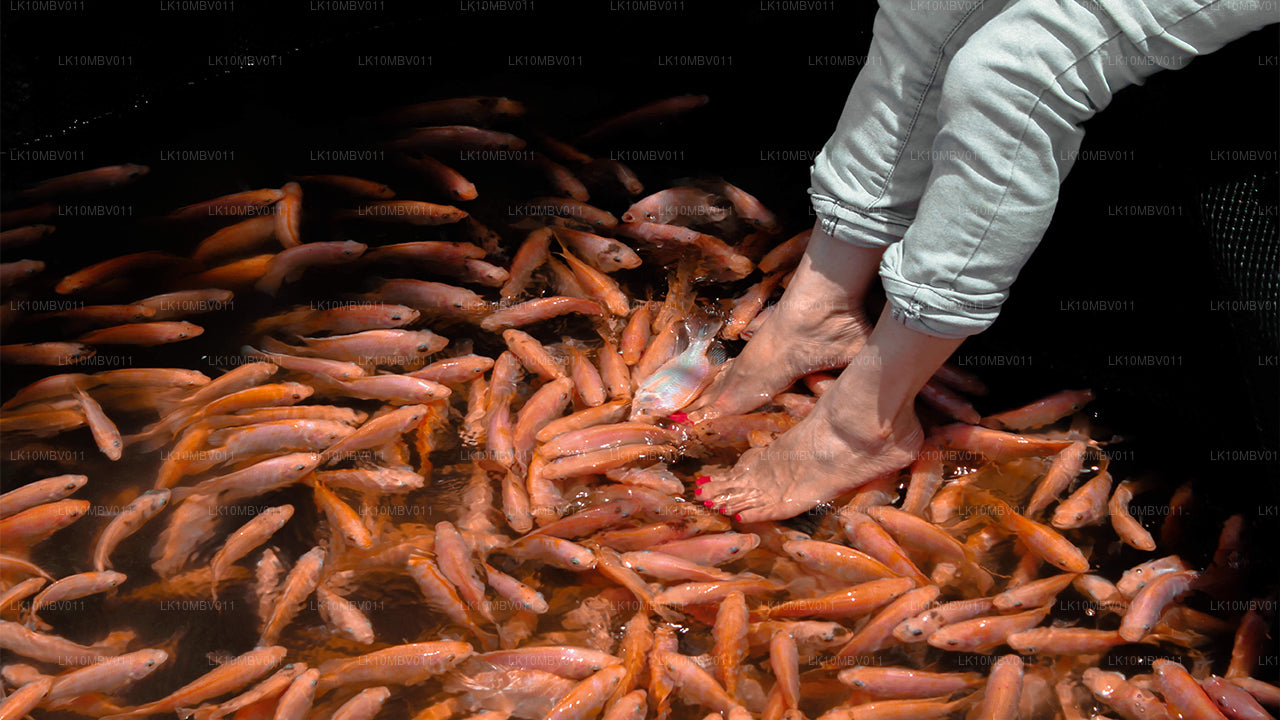 Tempels en natuur (22 dagen)