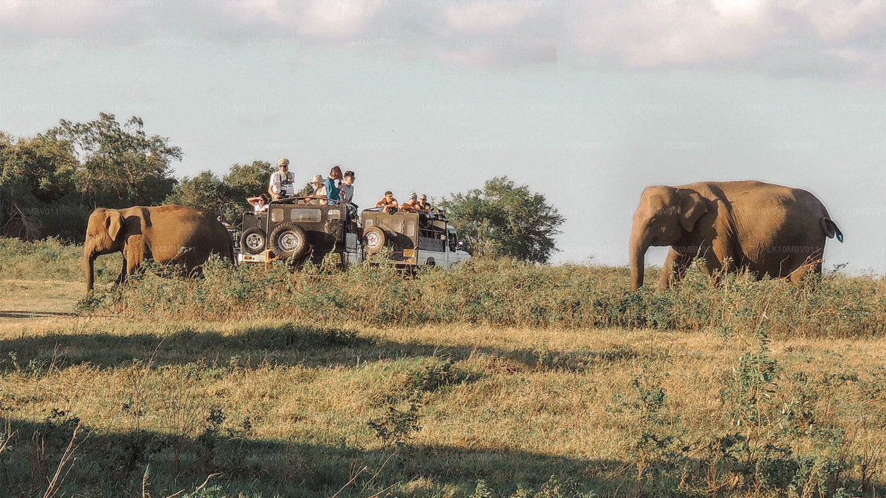 Tempels en natuur (22 dagen)