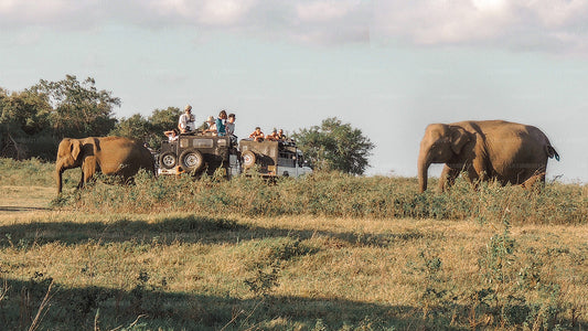 Tempels en natuur (22 dagen)