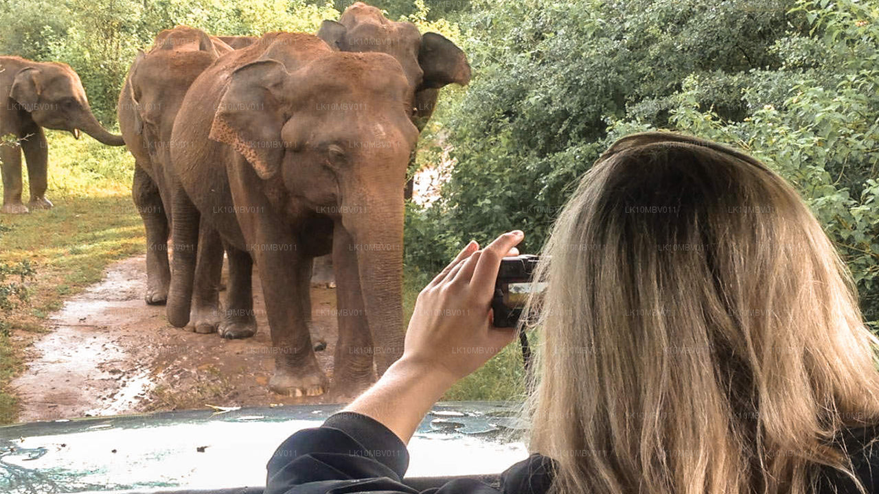 Tempels en natuur (22 dagen)
