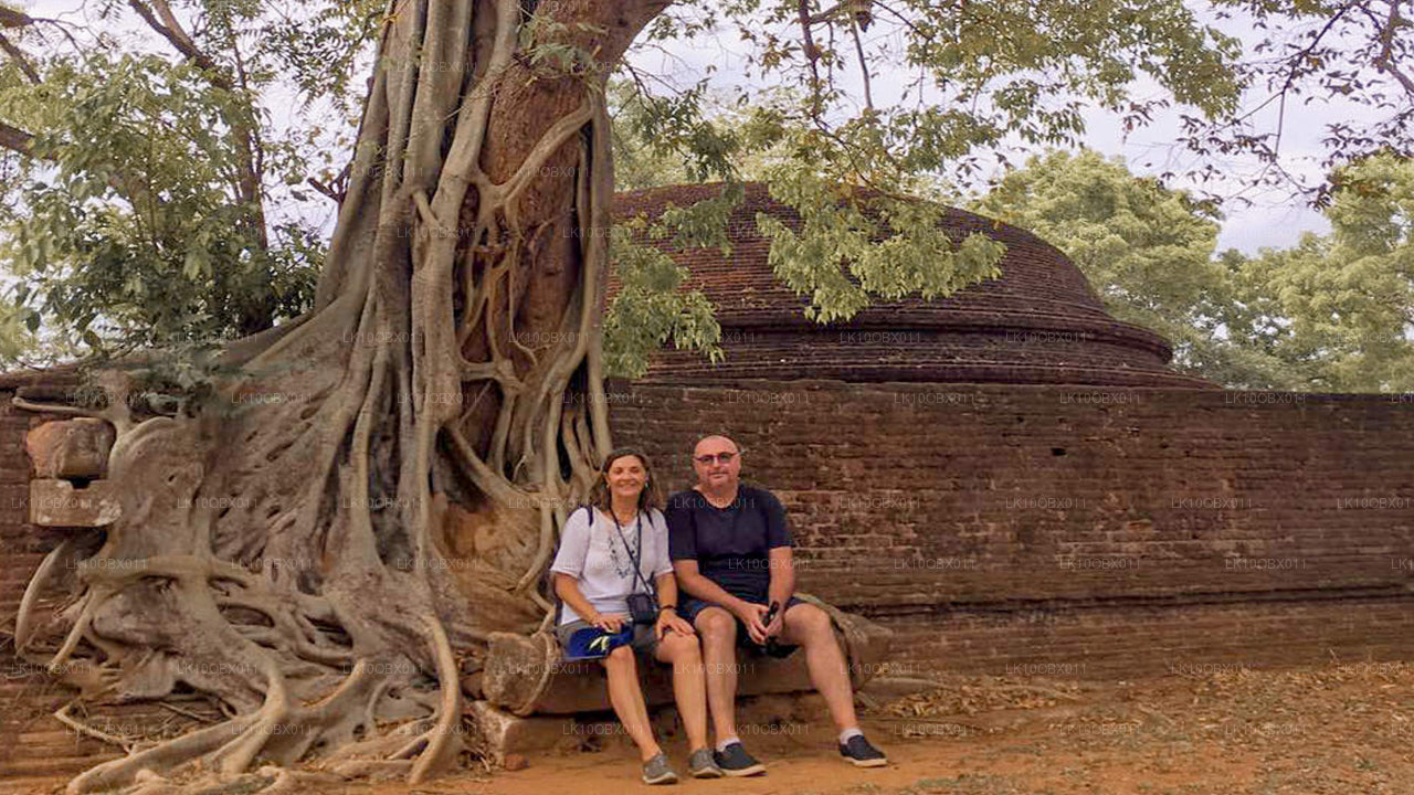 Geweldig Sri Lanka (24 dagen)