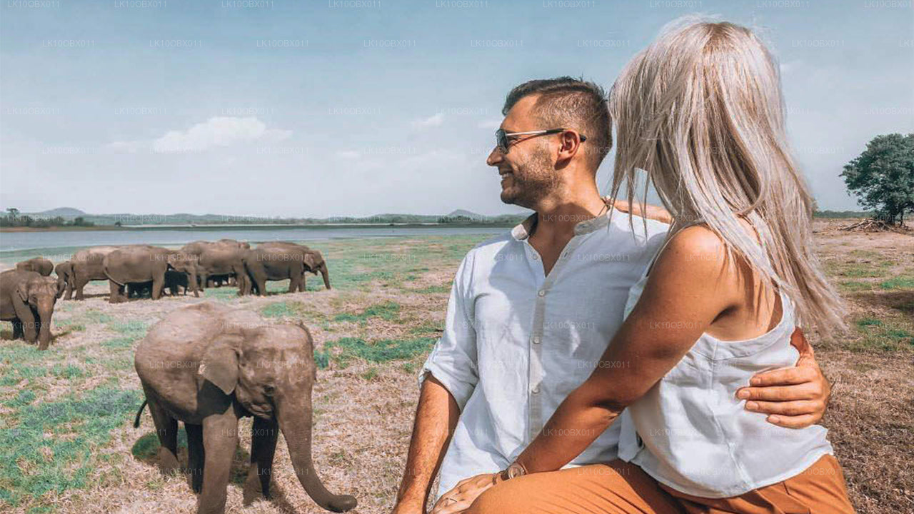 Geweldig Sri Lanka (24 dagen)