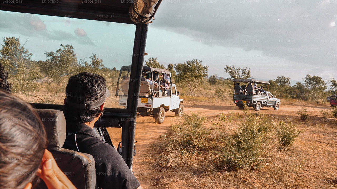 Geweldig Sri Lanka (24 dagen)