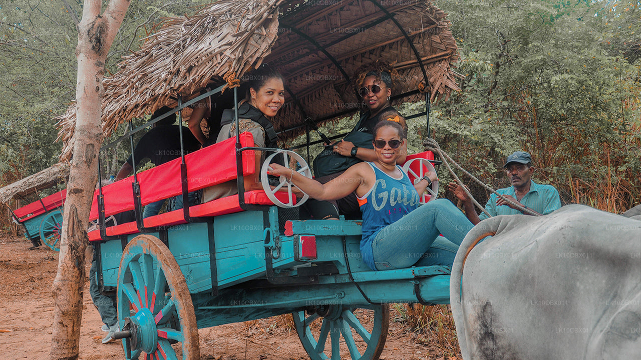 Geweldig Sri Lanka (24 dagen)