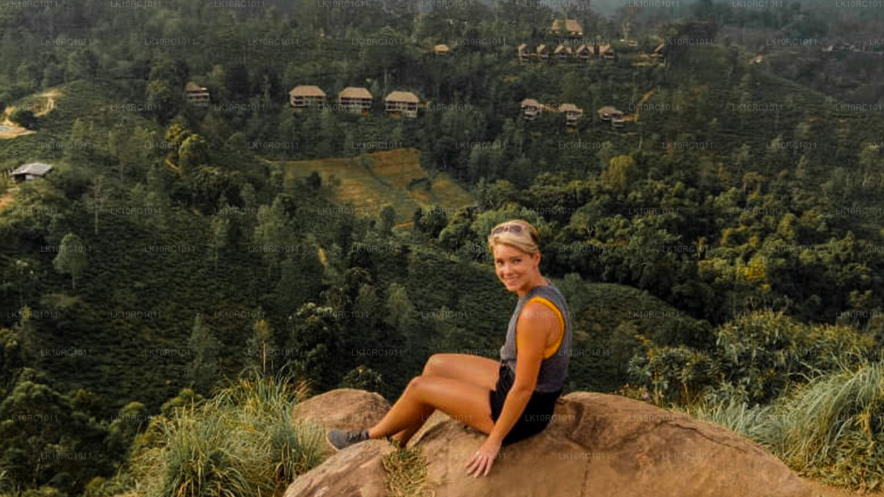 Vertedering op Ceylon (27 dagen)