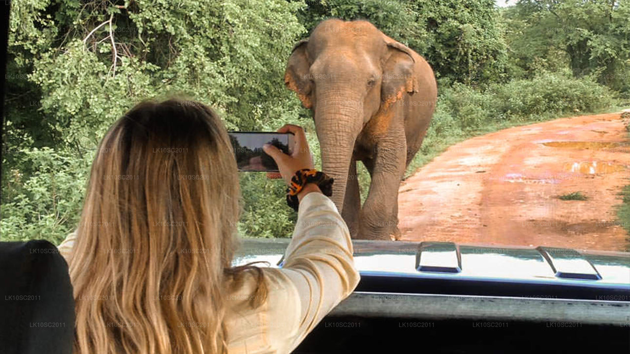 Vertedering op Ceylon (28 dagen)