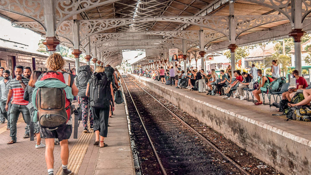 Vertedering op Ceylon (28 dagen)