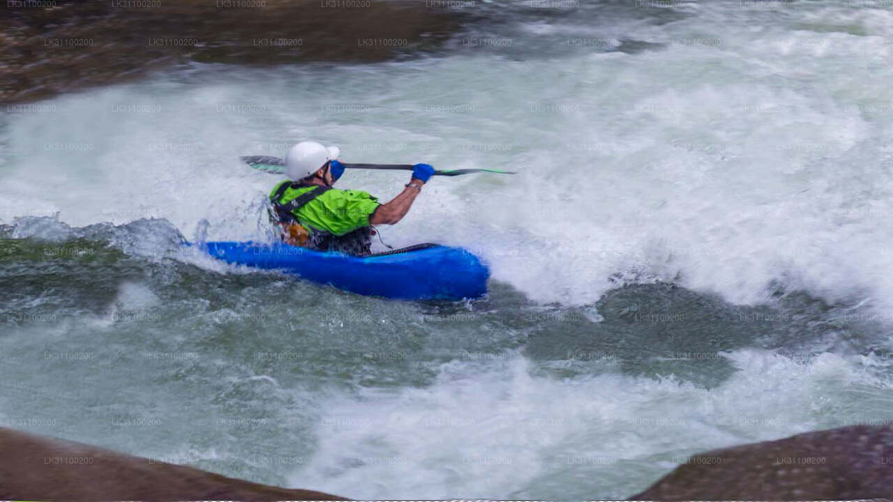 Kajakken op het vlakke water vanuit Kitulgala