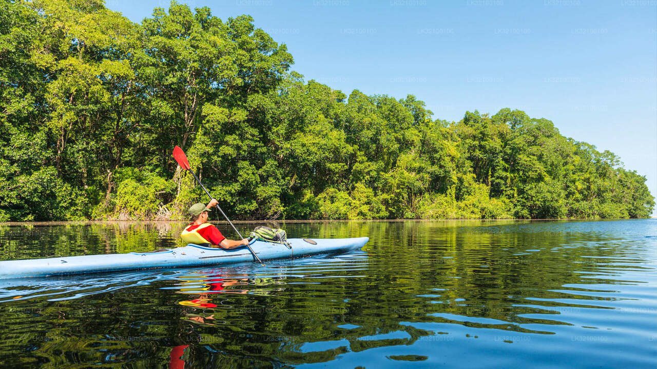 Kanoën vanuit Kitulgala