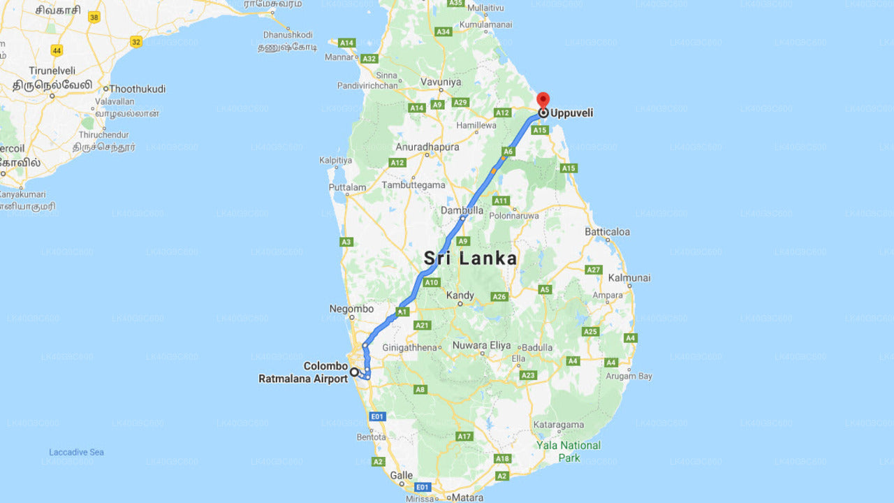 Ratmalana Airport (RML) to Uppuveli City Private Transfer