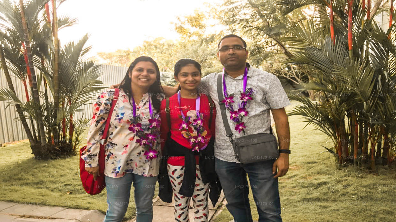 Kandy City to Ahangama City Private Transfer