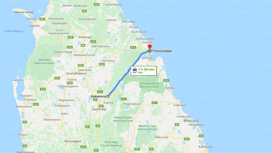 Habarana City to Trincomalee City Private Transfer