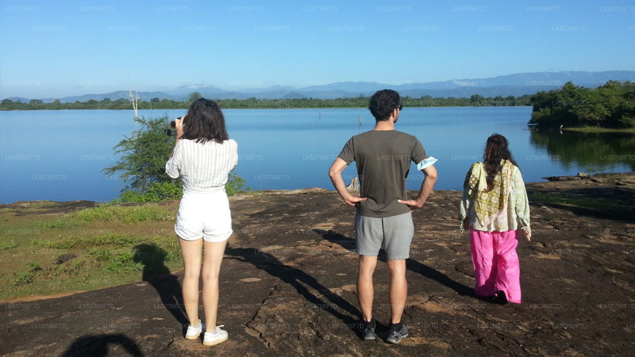 Privésafari in Udawalawe National Park met natuuronderzoeker