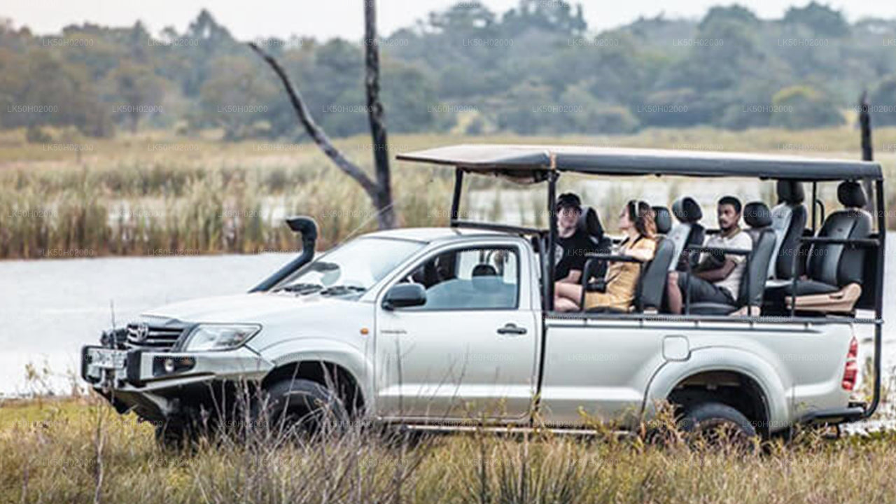 Privésafari in Bundala National Park met natuurgids