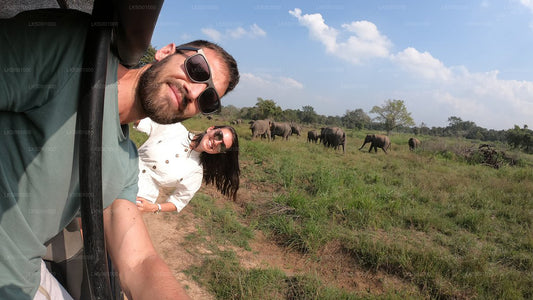 Privésafari in het nationale park Wasgamuwa