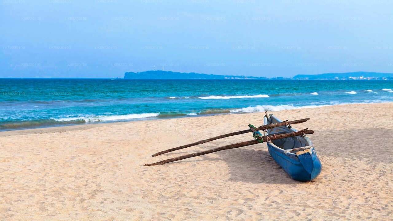 Diepzeevisboottocht vanuit Trincomalee