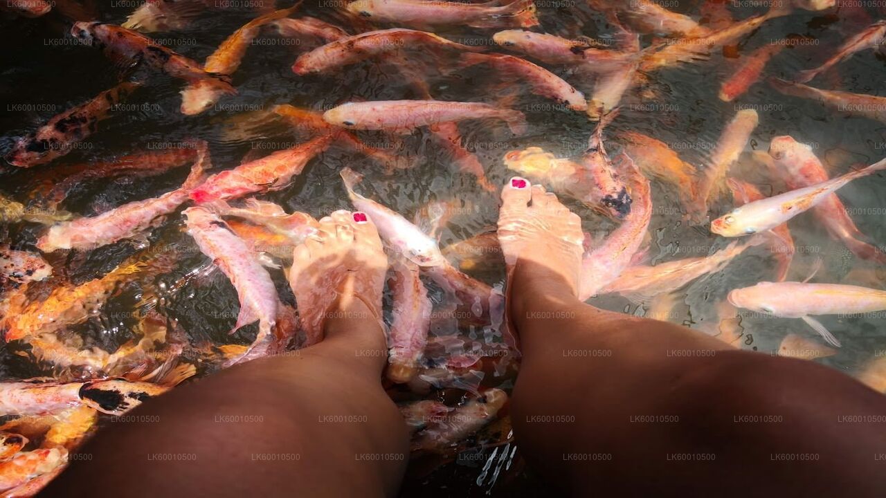 Bentota Stadstour vanuit Ahangama